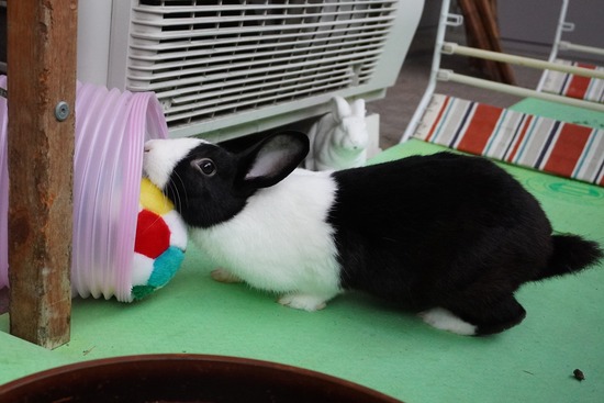 20230429げんDSC06900