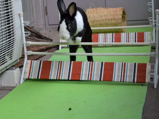 211024 obi1DSC_1354 (2)