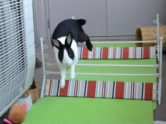 210920 okki DSC_2517 (2)