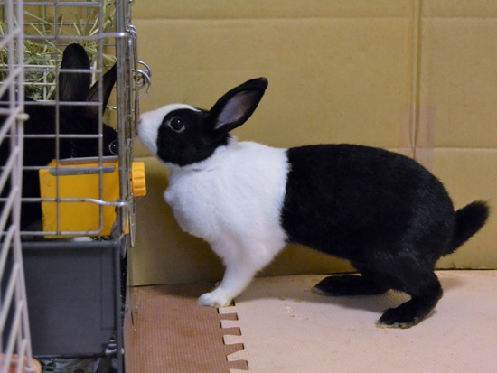 210723 おっきDSC_3127 (2)