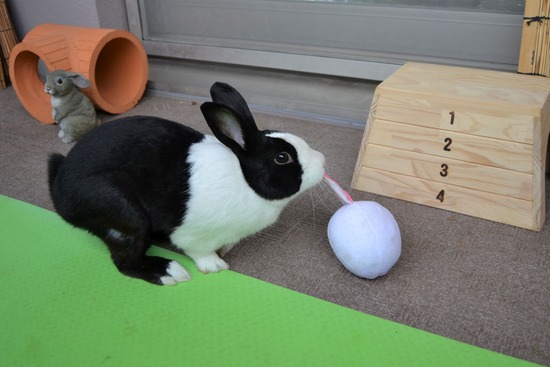 210912 powa DSC_2155 (2)