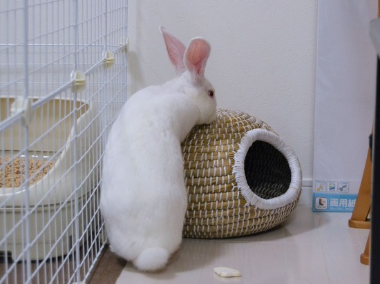 210828 ミルクDSC_2119 (2)