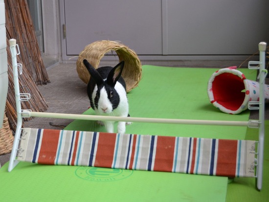 210905 こまDSC_2250 (2)