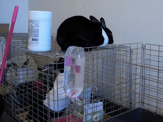 220904もなかDSC09485 (2)