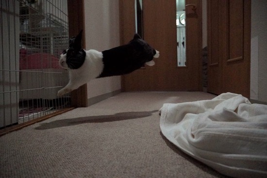 ao329441411_1032758397683616_412486600231379181_n (2)