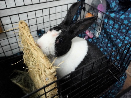 230114くりDSC04765