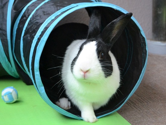 210912 powa DSC_2373 (2)