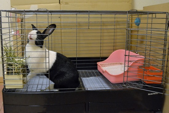 211114 koma DSC_1276 (2)