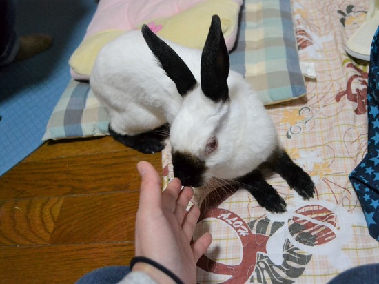 211120yaeDSC_1354 (2)