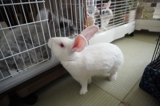 20230527RDSC00368 (2)