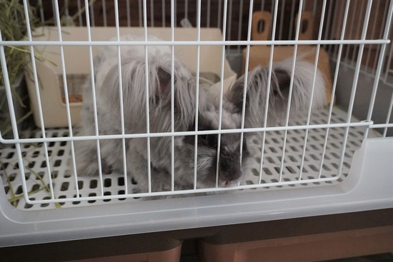 20230527DSC00380 (2)