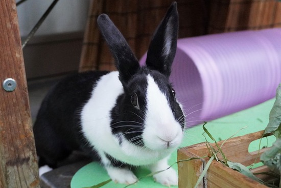 20230429みるDSC06821