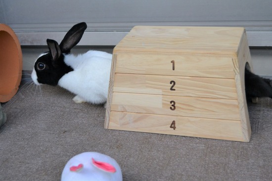 211205 komaDSC_1914 (2)