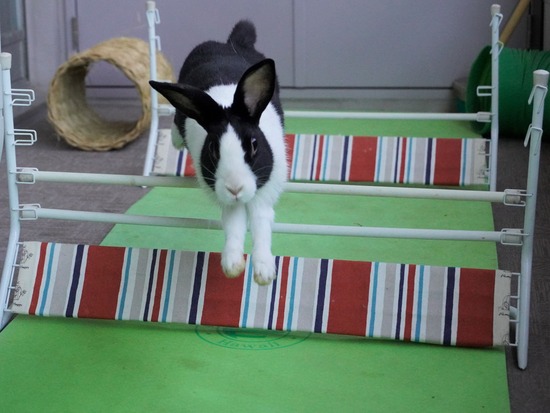 220129komaDSC04020 (2)