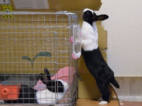 210723 こまDSC_0152 (2)