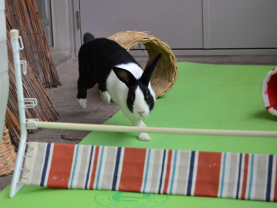 210905 こまDSC_2264 (2)