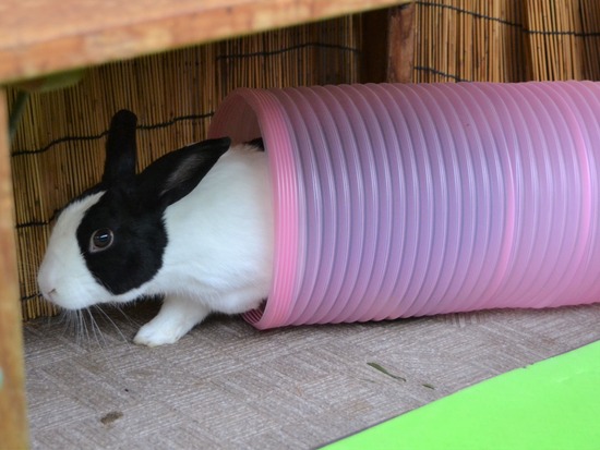 210912 powa DSC_2268 (2)