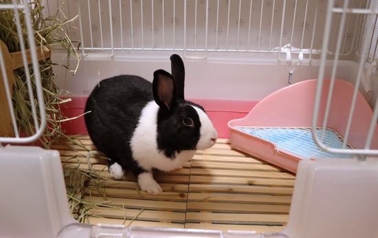 566498957_790022420571301_3176526709990291365_n