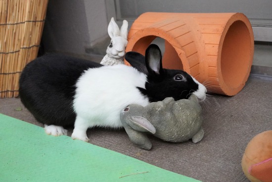 20230429げんDSC06981