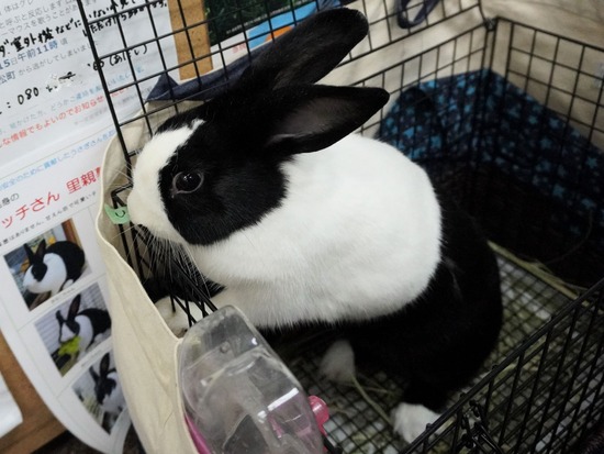 230114るりDSC04782