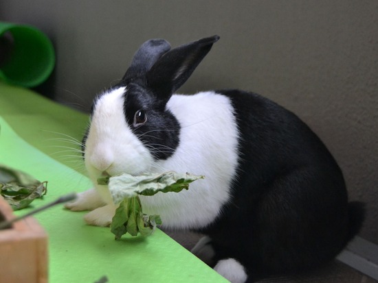 210912 powa DSC_2056 (2)