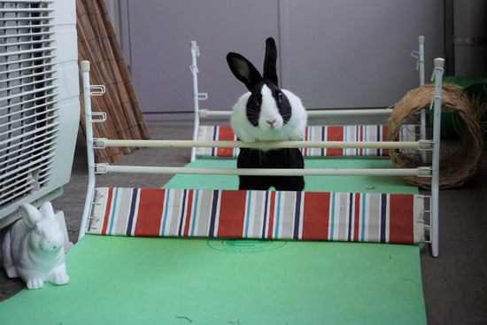 20230429あいDSC06722