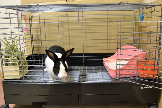 211114 koma DSC_1287 (2)