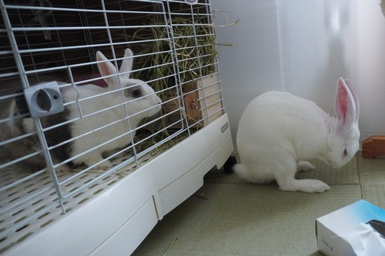 20230527RDSC00386 (2)