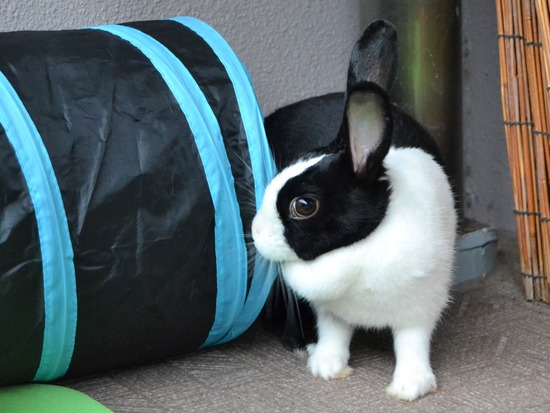 210912 ito DSC_0525 (2)