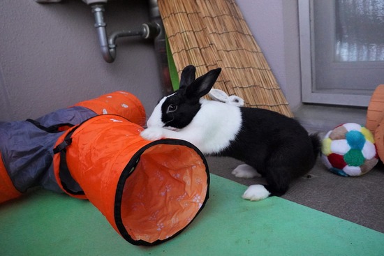 20230503げんDSC08611