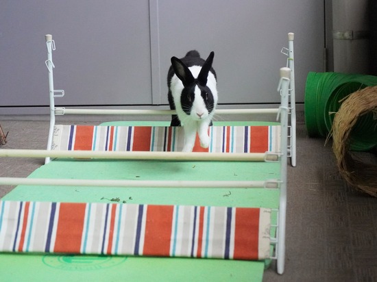 20230429あいDSC06569 (2)