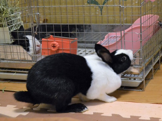 210723 おっきDSC_3137 (2)