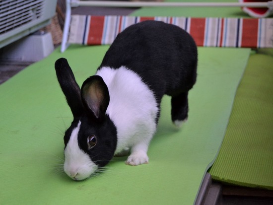 210905 itoDSC_2776 (2)