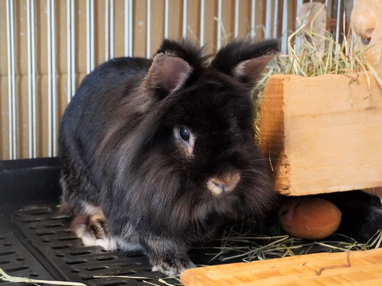 220923チョコくんDSC00842 (2)