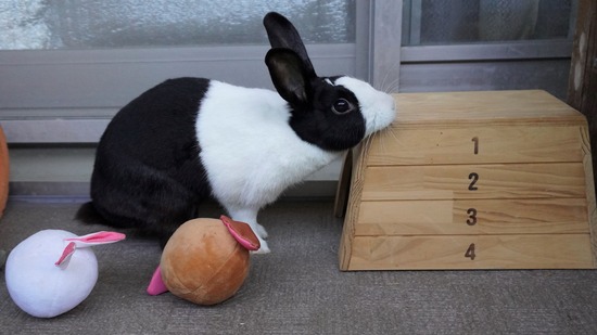 20230429くりDSC06201