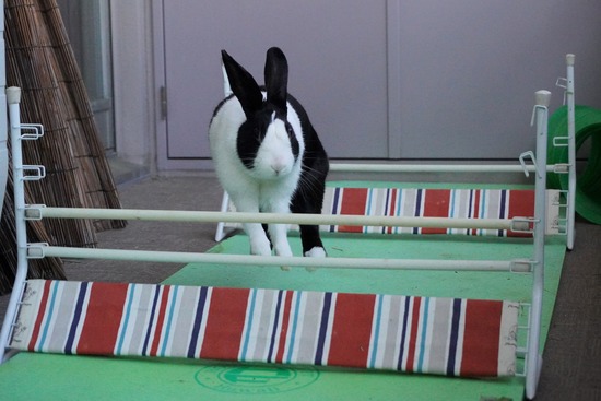 20230503くりDSC07632