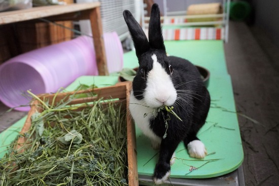 20230429こんDSC06544