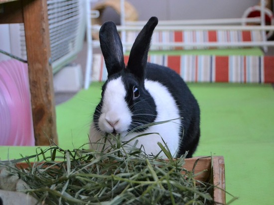 211123 komaDSC_1383 (2)