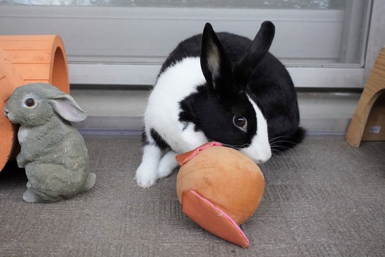 20230429みるDSC06843