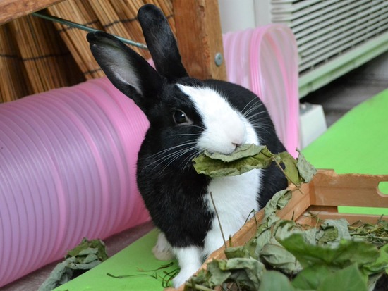 210912 bi2 DSC_2820 (2)