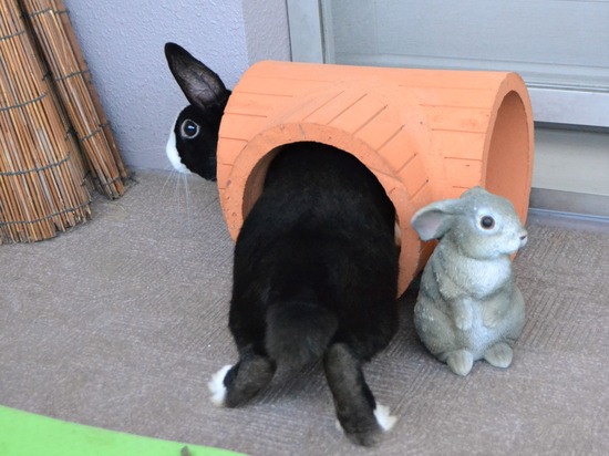 210920 b2 DSC_2096 (2)