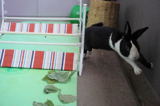 20230503こんDSC07878