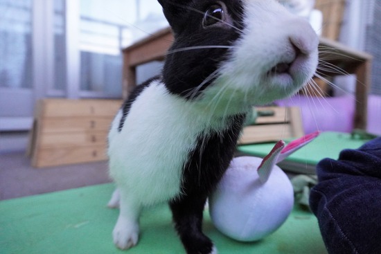 20230503こんDSC07930