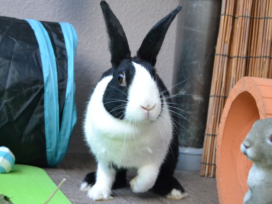 210905 itoDSC_2819 (2)