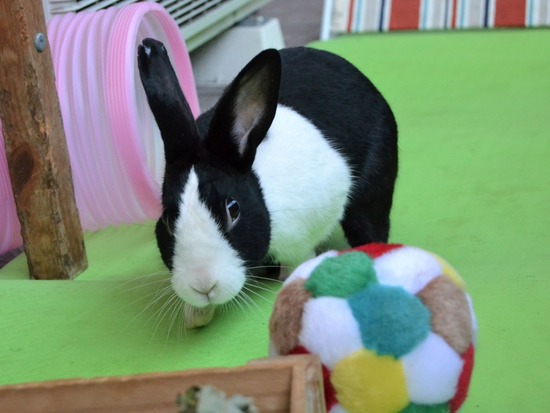 210920 b2 DSC_2080 (2)