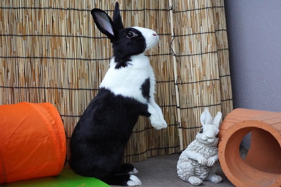 20231001みるDSC03209