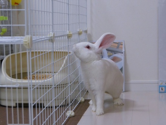 210828 ミルクDSC_2062 (2)