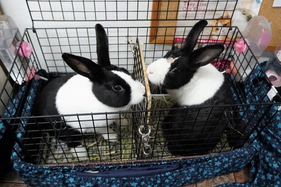 230114あい＆まつDSC04756