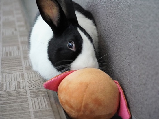 220103クッキーDSC01646 (2)