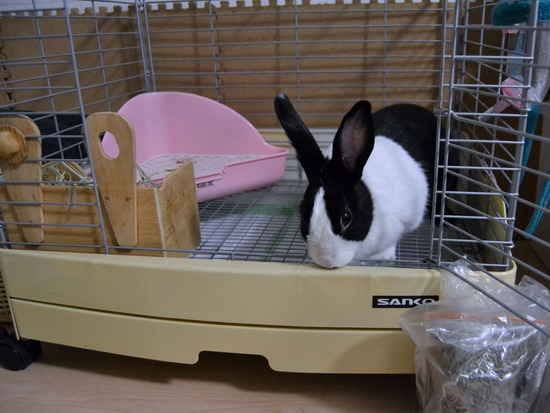 211113 おもちDSC_1298 (2)